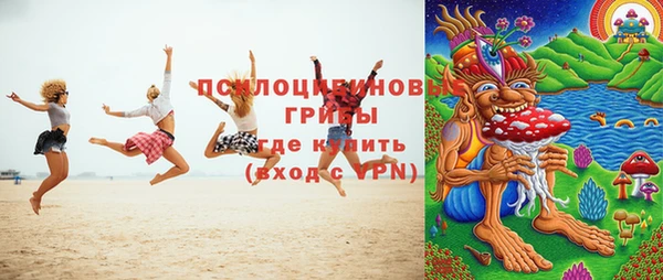 шишки Кущёвская